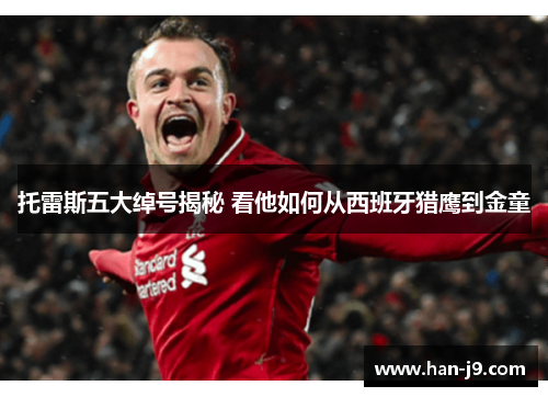 托雷斯五大绰号揭秘 看他如何从西班牙猎鹰到金童