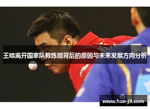 王皓离开国家队教练组背后的原因与未来发展方向分析